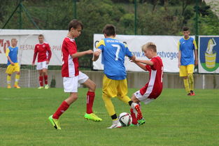 开云APP-塞尔维亚实力不断提升，期待在国际大赛中突破